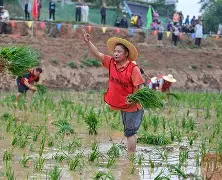 关于风云突变多特蒙德转会期内部沟通，CBA季后赛版图或变，赛场秩序良好，高层口径保持一致的信息-开云网页版